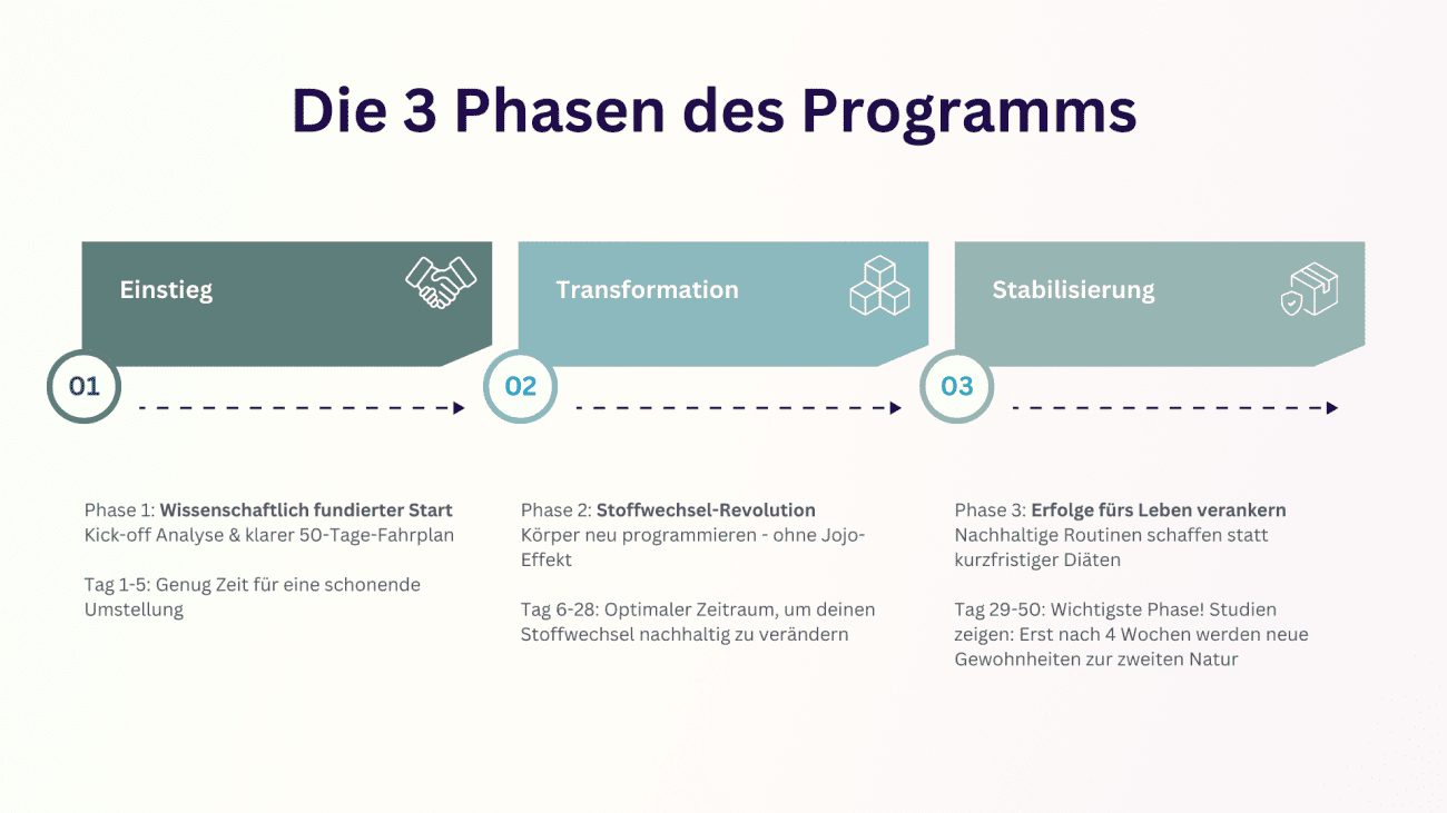 knochenstark und schlanker Bauch Kurs, Dr. Ruth Mischnick, Knochen fürs Leben, nährstoffe,, die 3 phasen