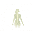 Knochen fuers leben, Programm Frauen 45+, Dr. Ruth Mischnick