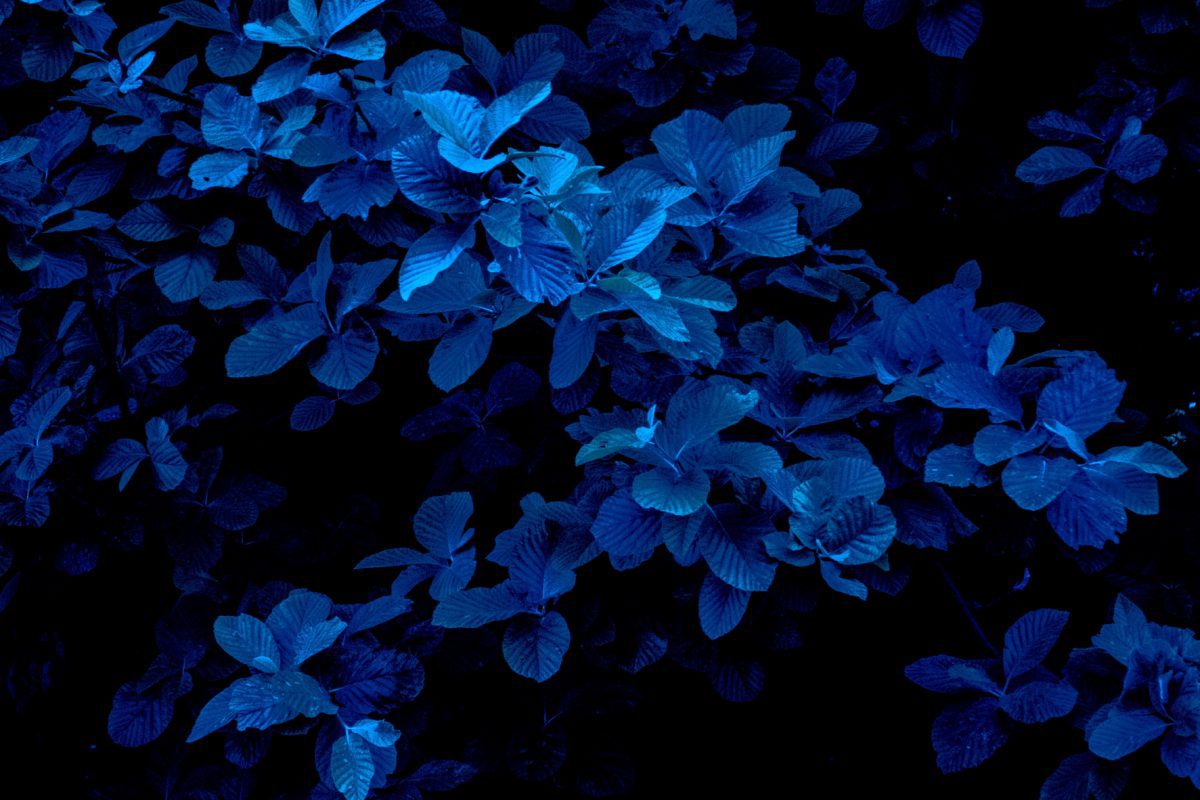 nnere Ruhe finden i Meditation, Die weise Frau erhebt sich, 12 Wochen Programm, Dr. Ruth Mischnick, Serum Oleum, www.serumoleum.deserumoleum.com, dr. ruth mischnick, www.serumoleum.com, serumoleum, Dr. Ruth Mischnick, welche Knochen neigen eher zu brüchen, Folgen von Vitamin D Magel, Gelenkschmerzen in den Wechseljahren, dr. ruth mischnick