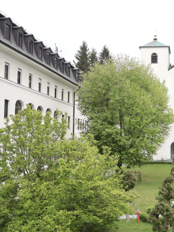 Workshop Knochenstark und Beckenboden, Dr. Ruth Mischnick, Knochen fürs Leben, Biohacking Your Bones: Das exklusive Longevity-Programm für starke, jugendliche Knochen, Dr. Ruth Mischnick, Feldenkrais , serumoleum