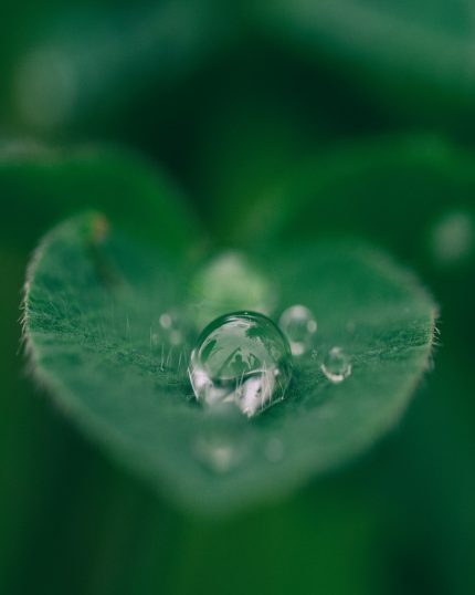 Online Workshop Osteoporose, Arbeite mit Dr. Ruth Mischnick, Dr. Ruth Mischnick, die innere Heilerin, Coach, Serum Oleum, Therapeutin, inneres Wohlbefinden, Well-Aging