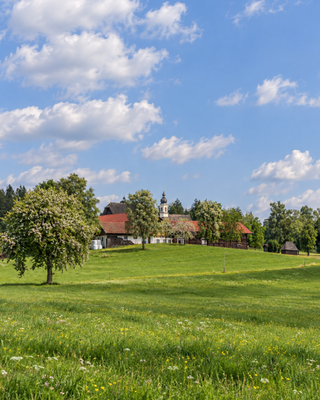 Stell dir vor … … du bist mit 80 noch so beweglich und selbstständig wie heute. Du hebst deine Enkel hoch, gehst wandern und weißt: Ich habe selbst etwas dafür getan. Genau dafür gibt es Knochen fürs Leben. Du nimmst deine Knochengesundheit selbst in die Hand, mit Wissen, Praxis und Rückenwind.Dr. Ruth Mischnick, Knochen fürs Leben