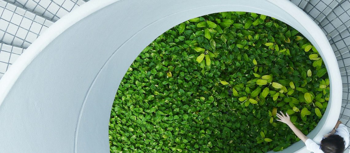 selbstliebe, achtsamkeit, wechseljahre menopause, Bewegung und Diäten nicht funktionieren, Dr. Ruth Mischnick, www.serumoleum.com,