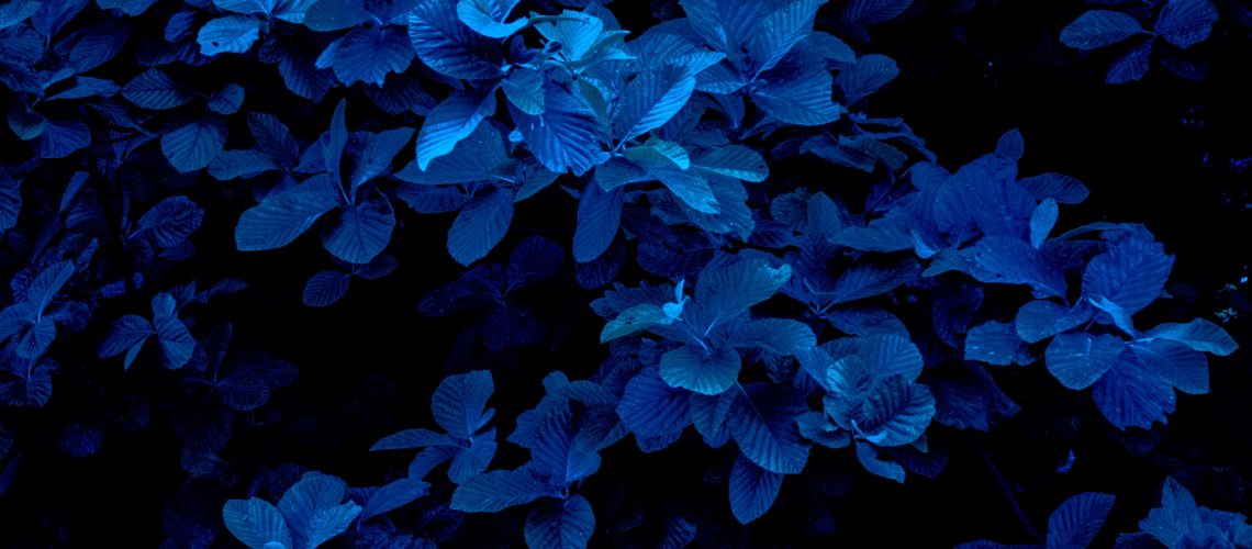 nnere Ruhe finden i Meditation, Die weise Frau erhebt sich, 12 Wochen Programm, Dr. Ruth Mischnick, Serum Oleum, www.serumoleum.deserumoleum.com, dr. ruth mischnick, www.serumoleum.com, serumoleum, Dr. Ruth Mischnick, welche Knochen neigen eher zu brüchen, Folgen von Vitamin D Magel, Gelenkschmerzen in den Wechseljahren, dr. ruth mischnick