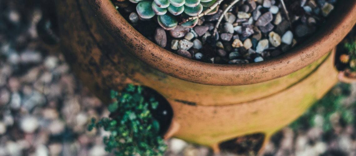 Leitfaden für Kompressionsfrakturen, dr. Ruth Mischnick