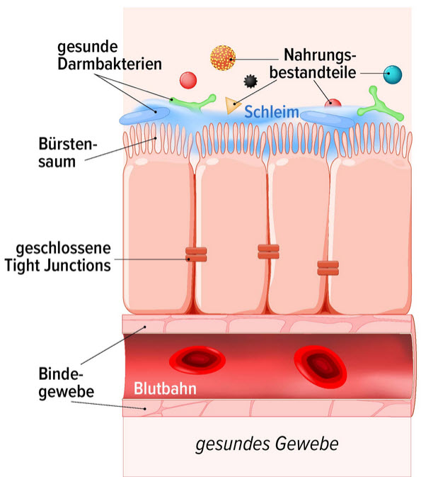 KNOCHENSTARK & SCHLANKER BAUCH – DEINE 50-TAGE-TRANSFORMATION ZU DEINEM WOHLFÜHL-ICH! Ja, ich will meinen Wohlfühlkörper
